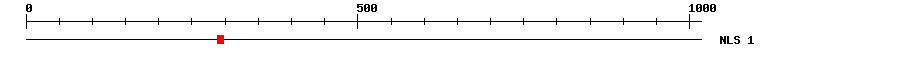NLS