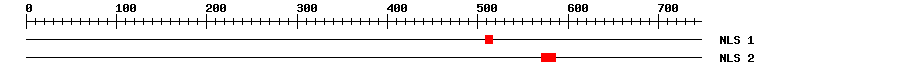 NLS