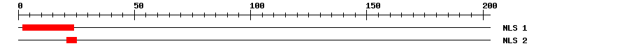 NLS