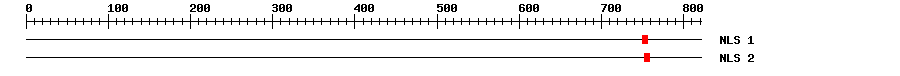 NLS
