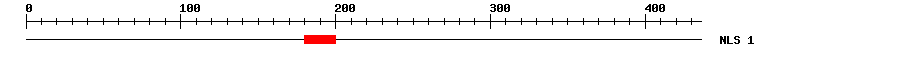 NLS