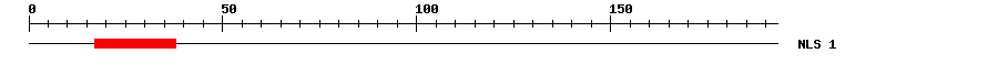 NLS