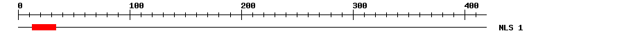 NLS