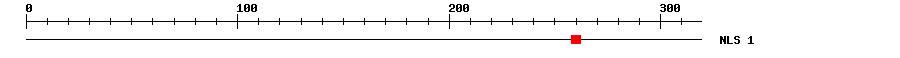 NLS