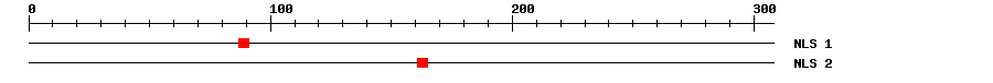 NLS