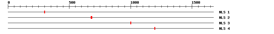 NLS