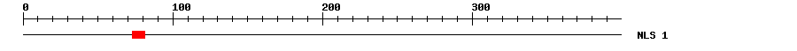 NLS