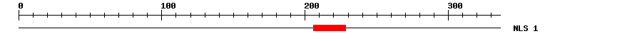 NLS