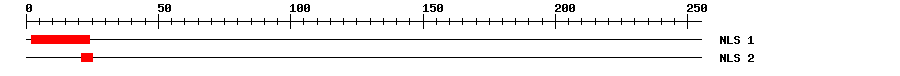 NLS