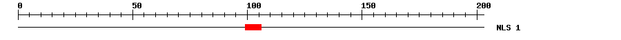 NLS