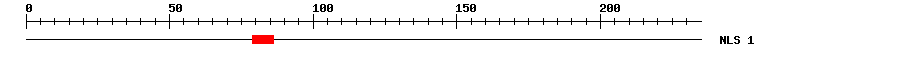 NLS