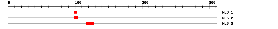 NLS