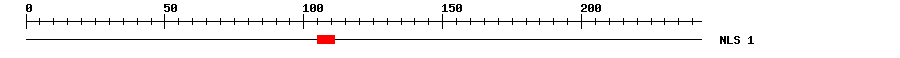 NLS
