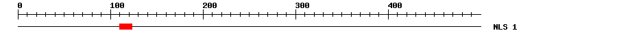 NLS