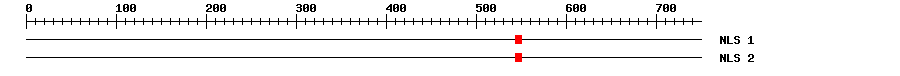 NLS