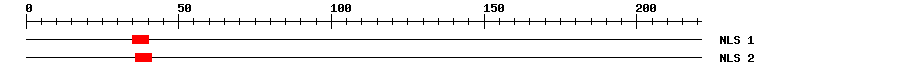 NLS