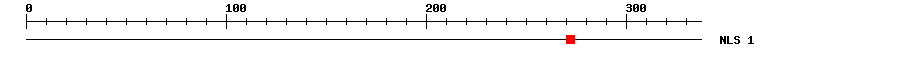 NLS