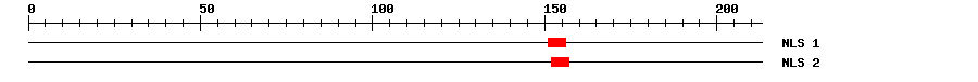 NLS