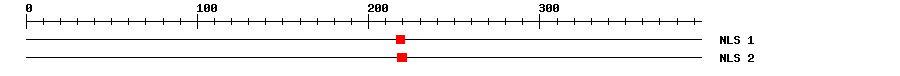NLS