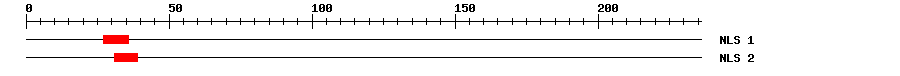NLS