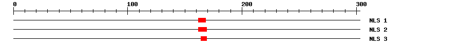 NLS
