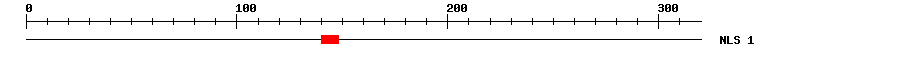 NLS