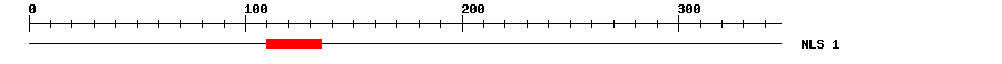NLS