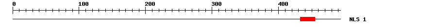 NLS