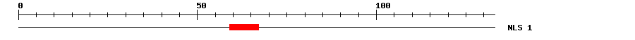 NLS