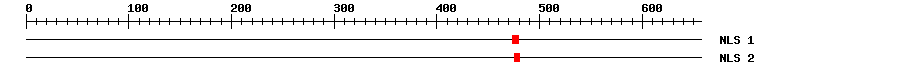 NLS