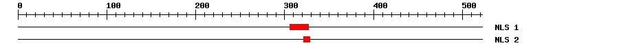 NLS