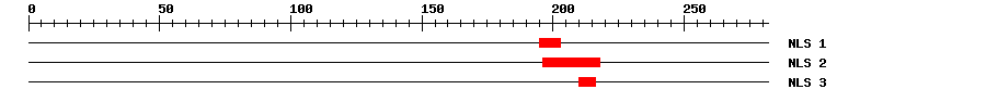 NLS