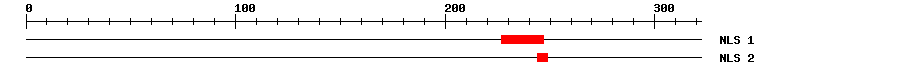 NLS