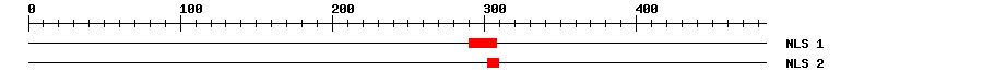NLS