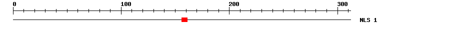 NLS
