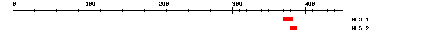 NLS