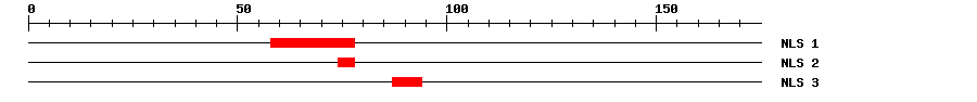 NLS