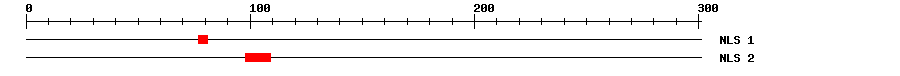 NLS