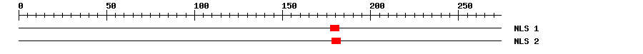 NLS
