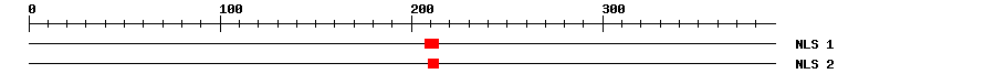 NLS