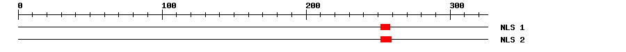 NLS