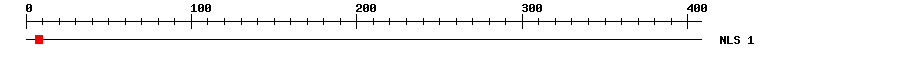 NLS