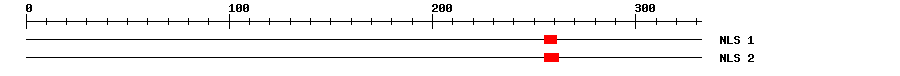 NLS