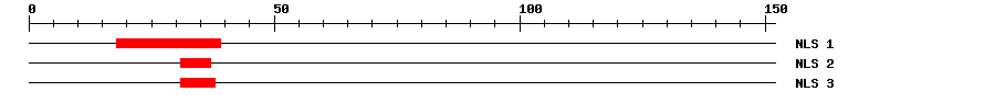 NLS