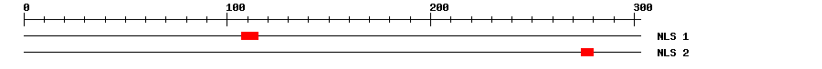 NLS