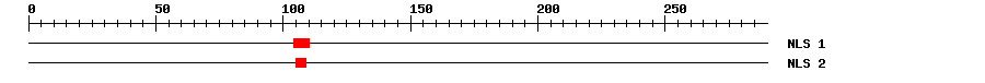 NLS