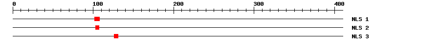 NLS