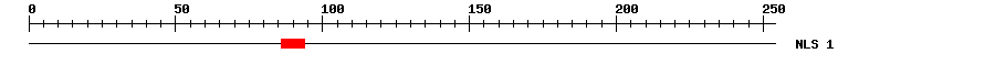 NLS
