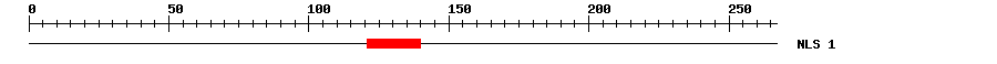 NLS