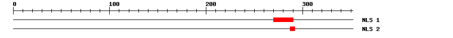 NLS